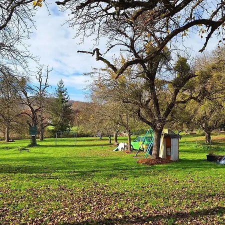 Hobbyhof ديغينهاوسيرتال